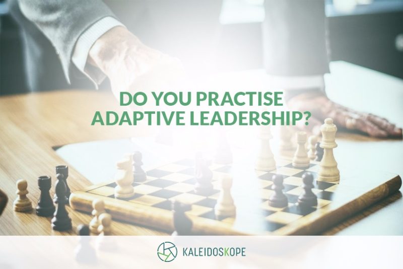 KALEIDOSKOPE BLOG Do You Practise Adaptive Leadership Your Organisation Needs You To OCTOBER 2018