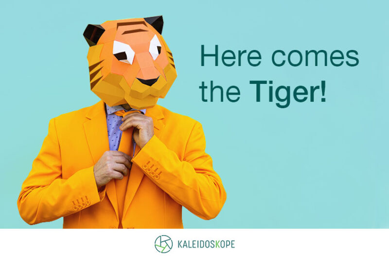 Kaleidoskope - Tiger Management and Leadership Style